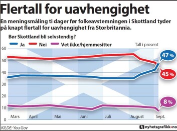 De siste gallupene har vist jevnt løp mellom nei- og ja-siden. Nei-siden med et lite overtak den siste tiden. (Foto: (Illustrasjon: Nyhetsgrafikk)) De siste gallupene har vist jevnt løp mellom nei- og ja-siden. Nei-siden med et lite overtak den siste tiden. (Foto: (Illustrasjon: Nyhetsgrafikk))
