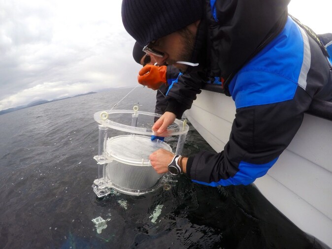 Alessandro Cresci and Cameron Thompson deploying drifting chambers in the fjords. Alessandro Cresci and Cameron Thompson deploying drifting chambers in the fjords.