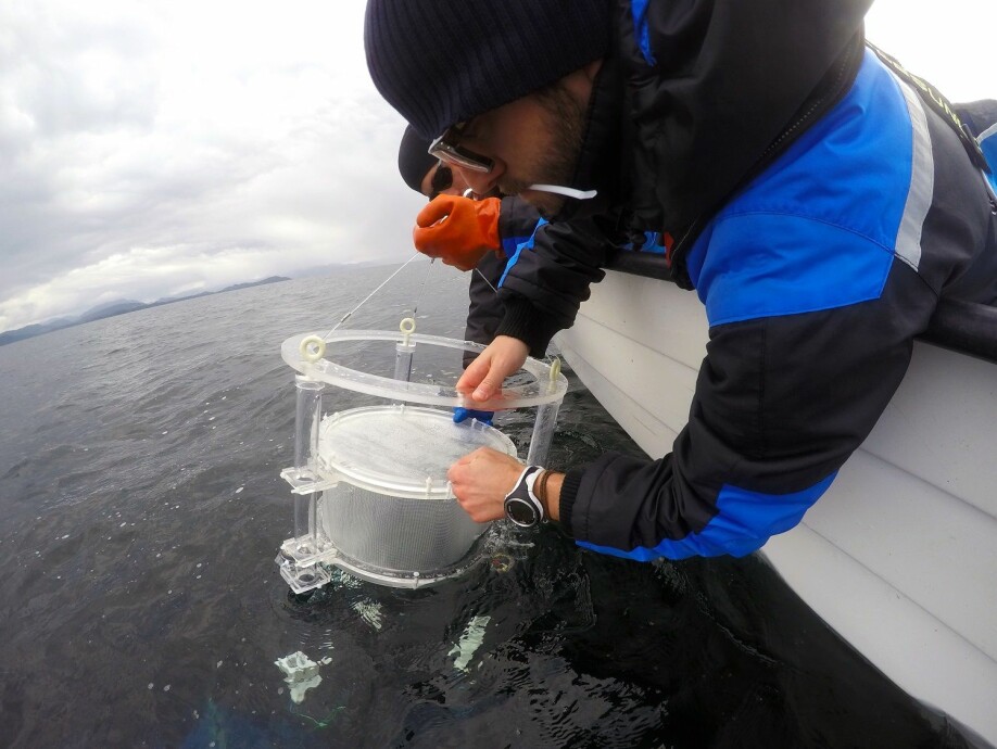 Alessandro Cresci and Cameron Thompson deploying drifting chambers in the fjords.