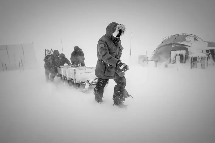 Forskere transporterer utstyr ved NEEM-campen i det nordlige Grønland.  (Foto: Christian Morell, Science)