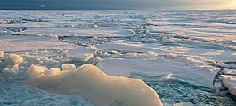 Ny metode for varsling av vær i Arktis