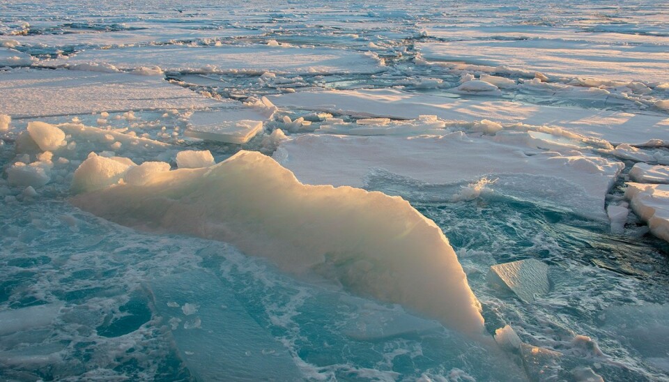 – Alle de gamle modellene for værvarsling i Arktis viste temperaturer mellom 5 og 15 grader for varmt, sier forsker Malte Müller. (Foto: Rudi Caeyers / UiT – Arven etter Nansen