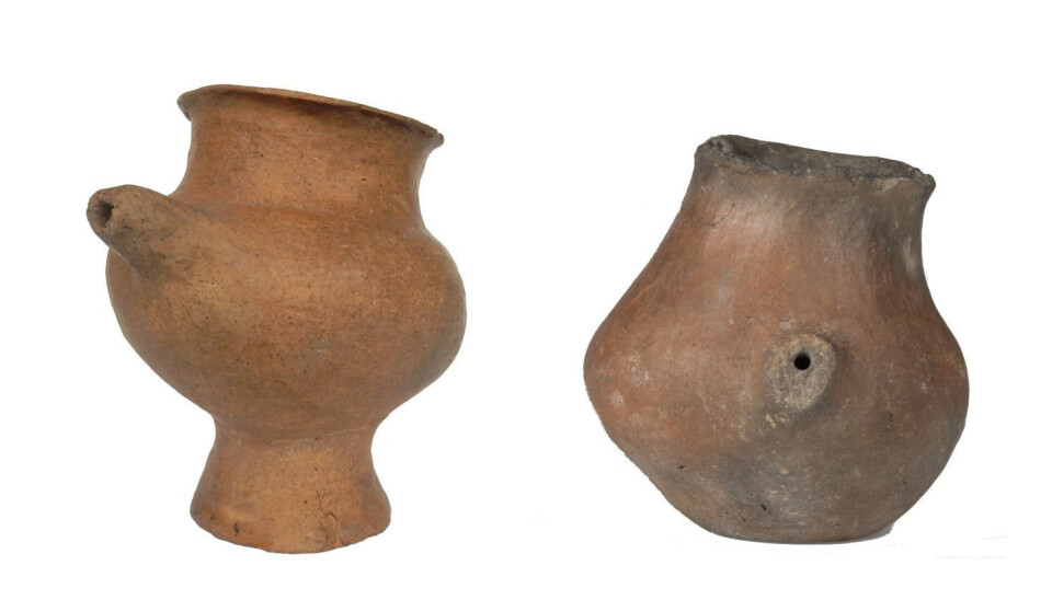 Karakteristiske kopper med en liten drikketut. Koppene er funnet i Østerrike, og er datert til rundt år 1200– 800 f. Kr. (Foto: Katharina Rebay-Salisbury)