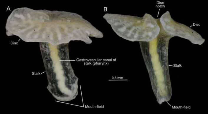 Photo: Just et al. 2014. PLoS ONE Photo: Just et al. 2014. PLoS ONE
