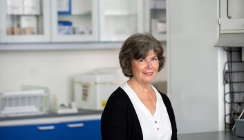 Trine B. Haugen er professor i biomedisin og leder av forskningsprosjektet ved OsloMet. (Foto: Sonja Balci / OsloMet) Trine B. Haugen er professor i biomedisin og leder av forskningsprosjektet ved OsloMet. (Foto: Sonja Balci / OsloMet)