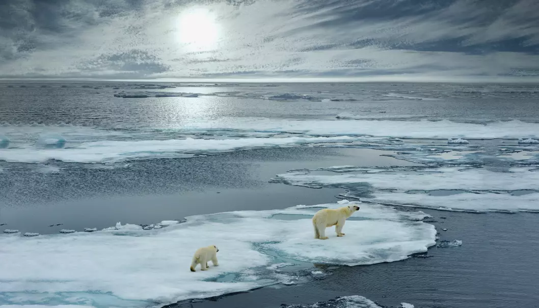 Klimarapport: Issmeltingen på Grønland og Antarktis kommer ikke til å stoppe. Det gjør at havet fortsetter å stige de neste århundrene.