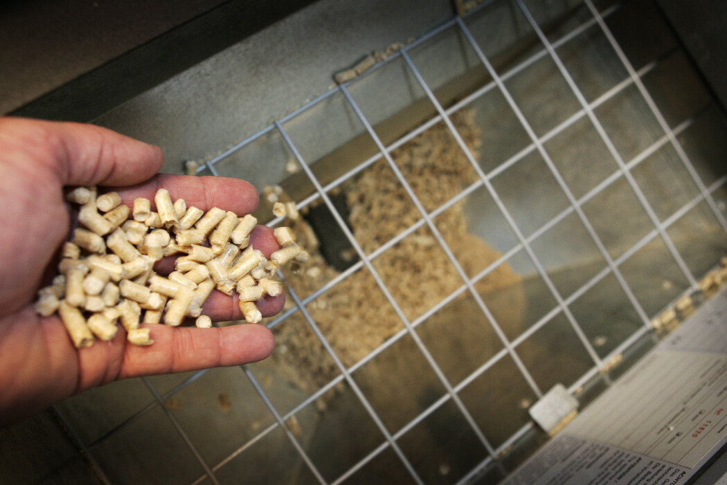 Pellets til en pelletskamin. Forskere mener det er mindre miljøvennlig å fyre med tre enn tidligere påstått. (Foto: Gorm Kallestad, NTB scanpix) Pellets til en pelletskamin. Forskere mener det er mindre miljøvennlig å fyre med tre enn tidligere påstått. (Foto: Gorm Kallestad, NTB scanpix)