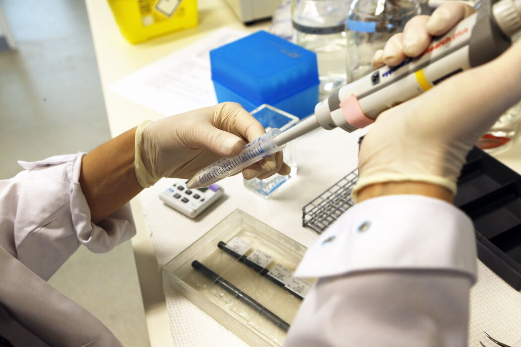 Stipendiat Inga Hansine Rye ved avdeling for kreftbehandling på Radiumhospitalet i Oslo på laboratoriet hvor prøver fra pasienter med bl.a. lungekreft og brystkreft (bildet) blir tatt hånd om. (Foto: Lise Åserud, NTB scanpix) Stipendiat Inga Hansine Rye ved avdeling for kreftbehandling på Radiumhospitalet i Oslo på laboratoriet hvor prøver fra pasienter med bl.a. lungekreft og brystkreft (bildet) blir tatt hånd om. (Foto: Lise Åserud, NTB scanpix)