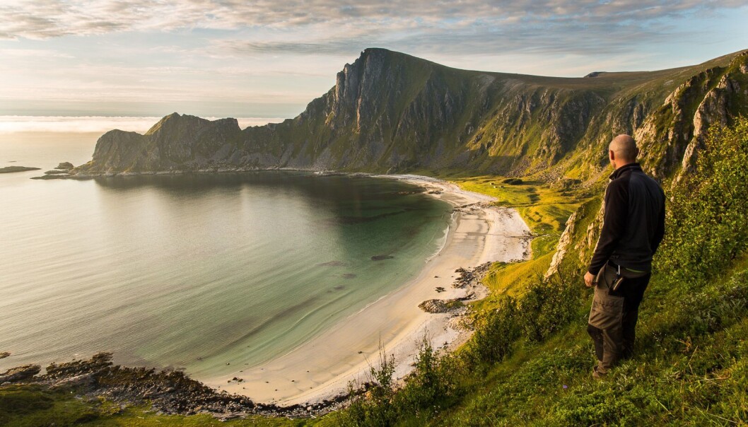 Jon Klepsland på naturkartlegging ved Høyvika, på vestsida av Andøya, med Måtinden bak. Foto: Kim Abel/Naturarkivet Jon Klepsland på naturkartlegging ved Høyvika, på vestsida av Andøya, med Måtinden bak. Foto: Kim Abel/Naturarkivet