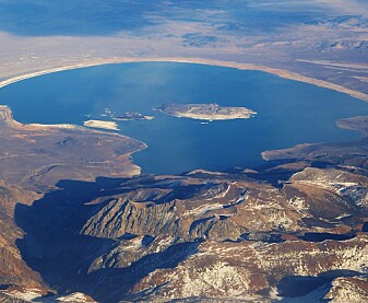 I Monosjøen bor det nesten ingen dyr. (Foto: Ron Reiring / Wikimedia commons CC BY SA 2.0) I Monosjøen bor det nesten ingen dyr. (Foto: Ron Reiring / Wikimedia commons CC BY SA 2.0)