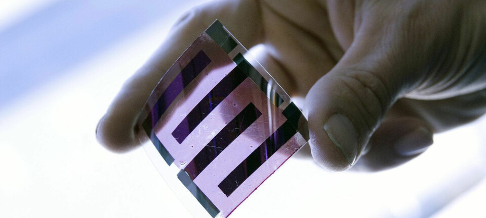 Dette er en solcelle. Den er laget av plast, ikke silisium. Fagfolk i en rekke land utvikler og tester nå ut slike løsninger, i håp om å gjøre solenergi billigere. Dette eksemplaret er fotografert ved det franske solenergi-instituttet INES.  (Foto: SPL, NTB Scanpix)