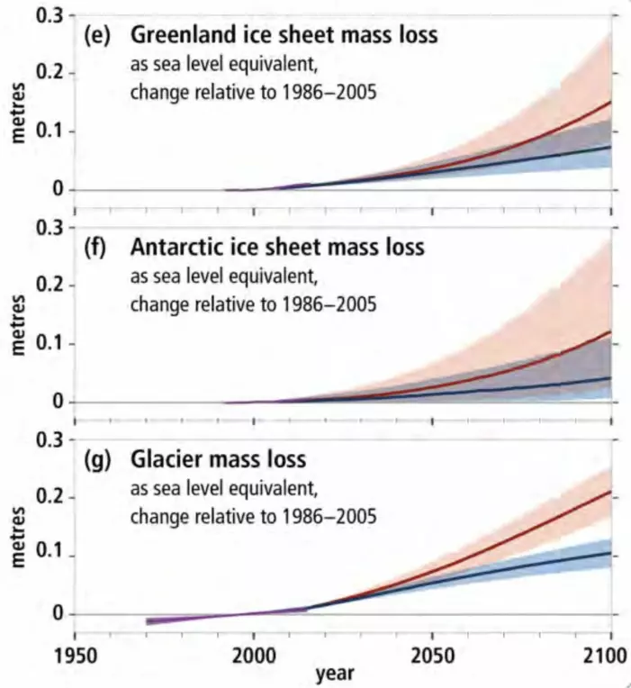 Forventet bidrag til havnivåstigningen i vårt århundre fra henholdsvis Grønland, Antarktis og isbreer andre steder, for lavt utslippsnivå (blått) og høyt utslippsnivå (rødt). (Fra IPCC SROCC, 2019)