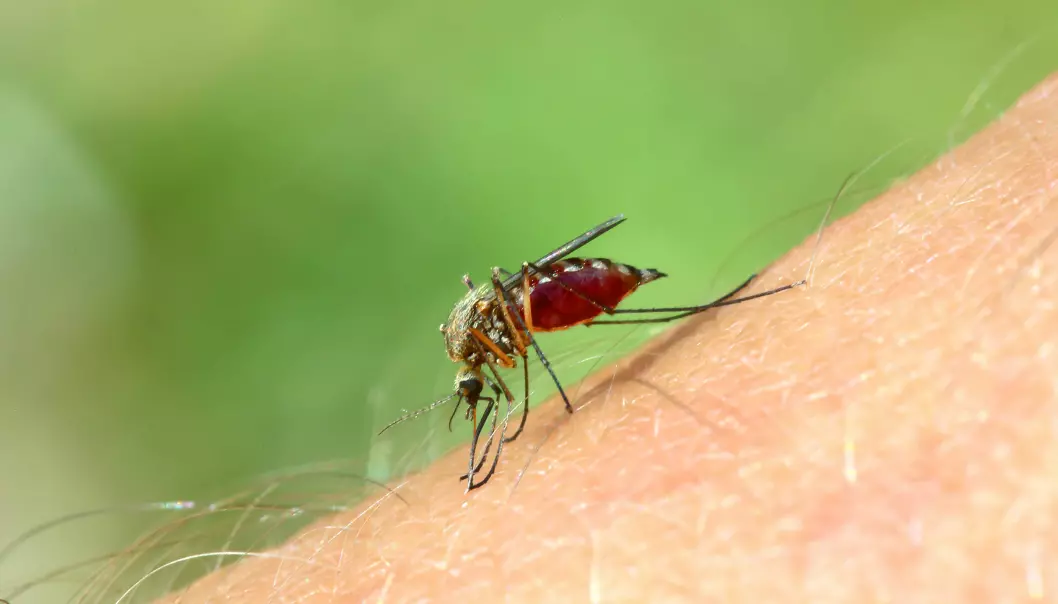 Ny motstandsdyktig malaria i Kambodsja