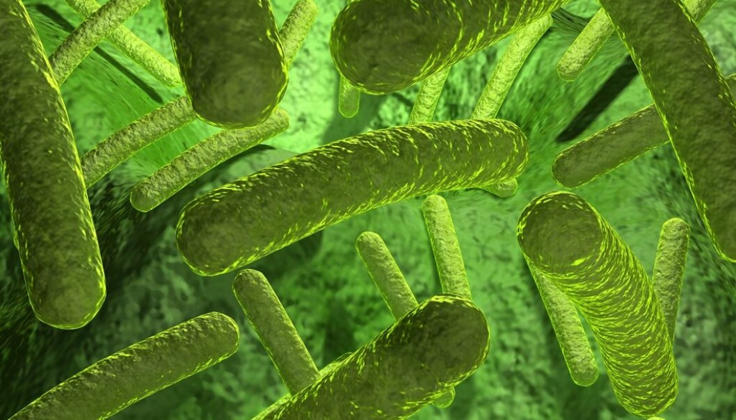 Virus som forårsaker kvalme , oppkast og diaré sprer seg lett gjennom kontorlandskap. (Foto: Colourbox) Virus som forårsaker kvalme , oppkast og diaré sprer seg lett gjennom kontorlandskap. (Foto: Colourbox)