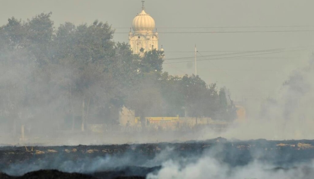 Brenning av en risåker i India for å effektivisere jordbruket. (Foto: NP India Burning/Wikimedia Commons) Brenning av en risåker i India for å effektivisere jordbruket. (Foto: NP India Burning/Wikimedia Commons)