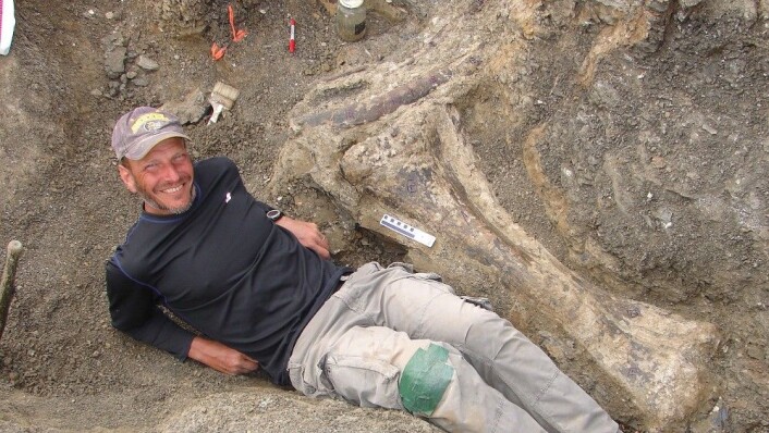 Den amerikanske paleontologen Kenneth Lacovara poserer ved sida av kjempedinosauren sitt skinnebein på utgravingsstaden i Patagonia, Argentina. (Foto: Kenneth Lacovara, Reuters) Den amerikanske paleontologen Kenneth Lacovara poserer ved sida av kjempedinosauren sitt skinnebein på utgravingsstaden i Patagonia, Argentina. (Foto: Kenneth Lacovara, Reuters)