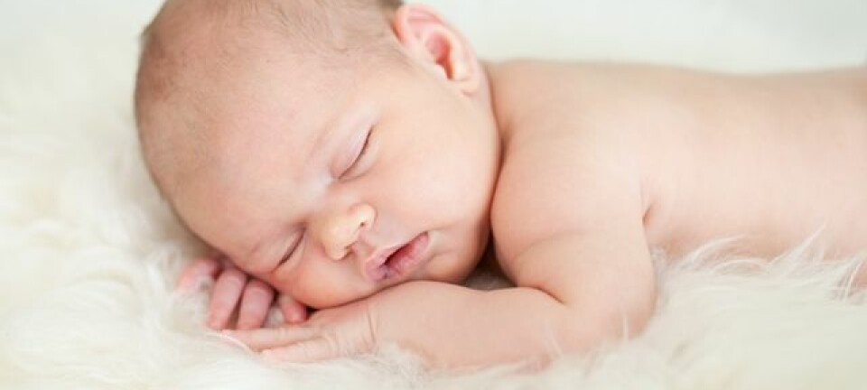 Du kan la babyen sove på en saueskinnsfell med god samvittighet. Det kan beskytte mot astma, viser studie.  (Foto: Colourbox)