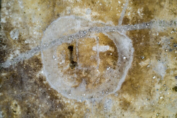 Here’s what the archaeological site looks like from the air. The picture clearly shows the discolouration around the location of the house left from the ditch that surrounded the structure. The stripe that goes across the top of the picture is from a modern-day ditch. (Photo: Raymond Sauvage, NTNU Vitenskapsmuseet) Here’s what the archaeological site looks like from the air. The picture clearly shows the discolouration around the location of the house left from the ditch that surrounded the structure. The stripe that goes across the top of the picture is from a modern-day ditch. (Photo: Raymond Sauvage, NTNU Vitenskapsmuseet)