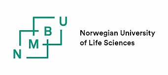 PhD position within numerical analysis