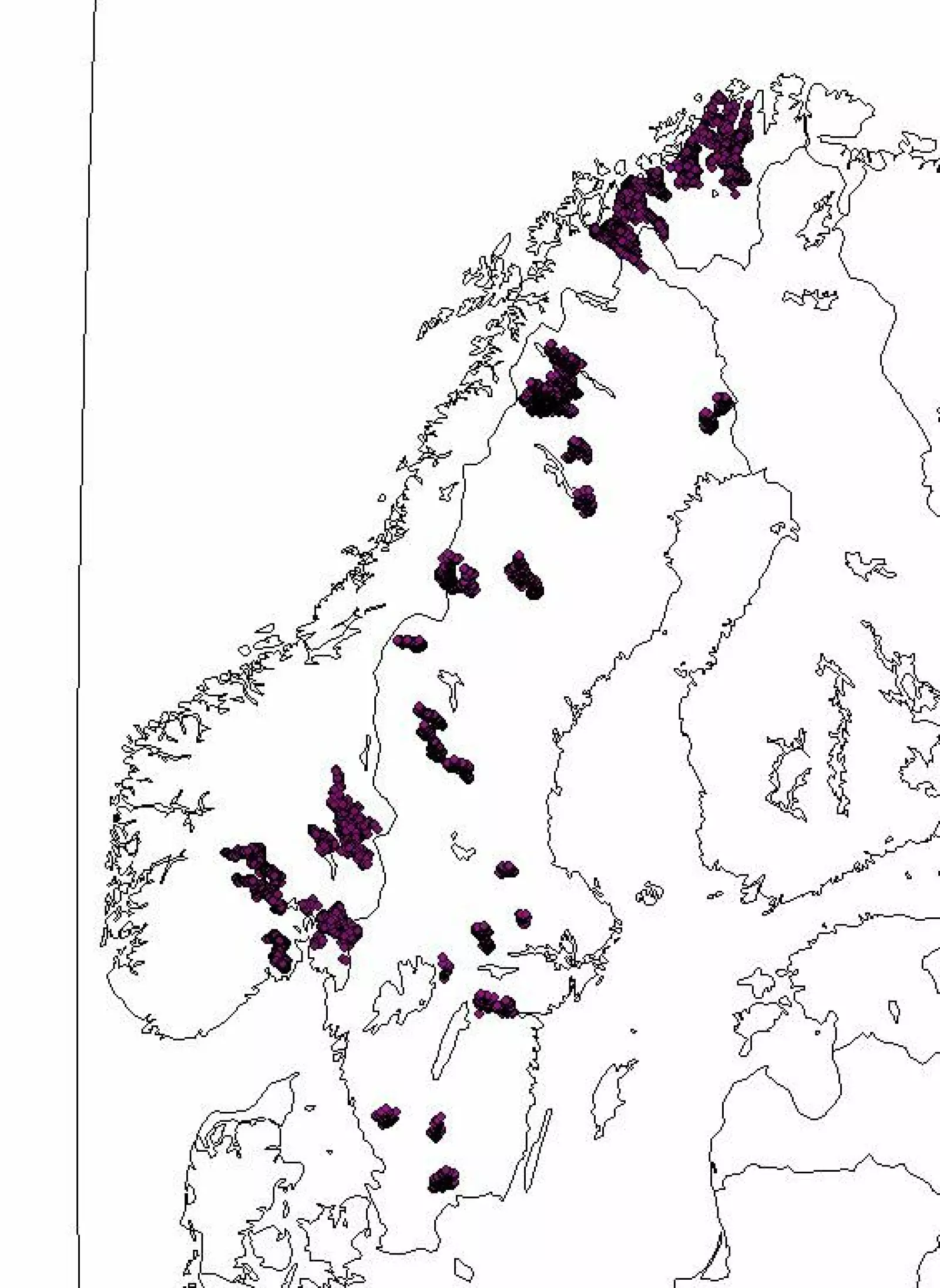Kartene viser hvor vi fulgte hunngauper med radiosender (venstre) og hvordan ulike deler av Skandinavia har egne avstandsregler basert på tetthet av byttedyr (høyre).