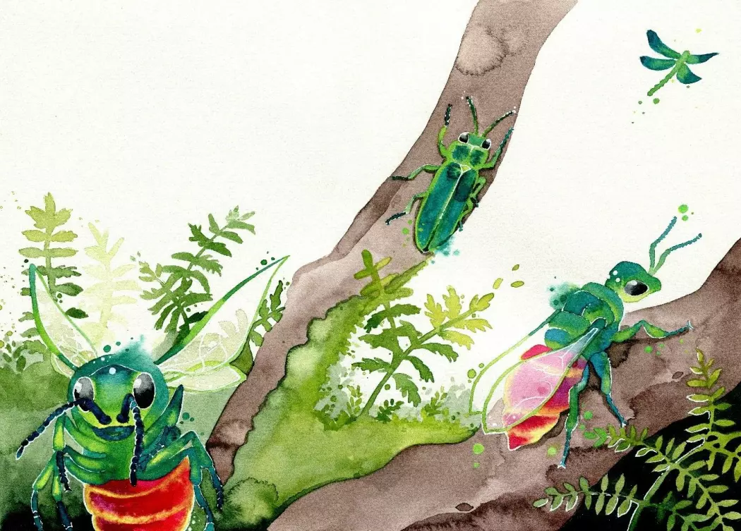 Gullveps og andre insekter. (Illustrasjon: Nina Marie Andersen, fra boka Insektenes hemmeligheter.)
