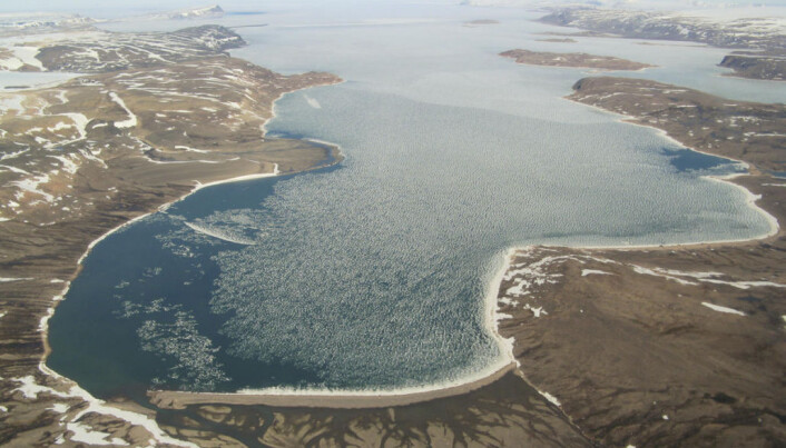 Nygla, Galtedalen, Strandbukta, Rakhallet og Måsegget er nye stadnamn i Rijpfjorden. (Flyfoto: Anders Skoglund / Norsk Polarinstitutt) Nygla, Galtedalen, Strandbukta, Rakhallet og Måsegget er nye stadnamn i Rijpfjorden. (Flyfoto: Anders Skoglund / Norsk Polarinstitutt)