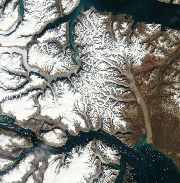 Scoresby Sund sett fra rommet 27. august. (Foto: NASA Terra MODIS) Scoresby Sund sett fra rommet 27. august. (Foto: NASA Terra MODIS)