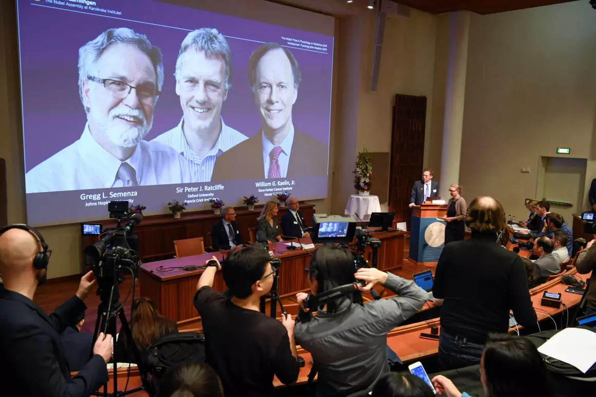 Her blir prisen i medisin annonsert i Stockholm. De tre vinnerne blir vist på skjermen. Nobelprisene vekker stor oppmerksomhet i aviser, tv og radio over hele verden. (Foto: Pontus Lundahl Reuters / NTB Scanpix)