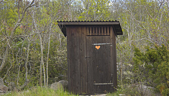 Ammonia is a colourless gas that provides the foundation for modern-day fertilizer production. This is also the same gas that is created when urine is left standing, such as in an outhouse. (Photo: Colourbox) Ammonia is a colourless gas that provides the foundation for modern-day fertilizer production. This is also the same gas that is created when urine is left standing, such as in an outhouse. (Photo: Colourbox)