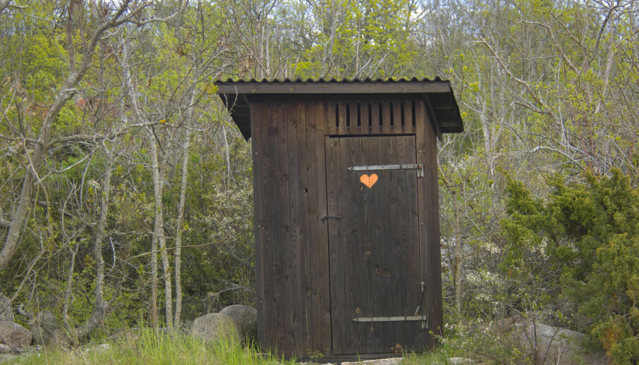 Ammonia is a colourless gas that provides the foundation for modern-day fertilizer production. This is also the same gas that is created when urine is left standing, such as in an outhouse. (Photo: Colourbox)