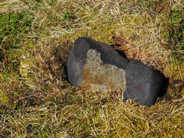 Valle-meteoritten slik den låg i terrenget då Terje Fjeldheim fann den. Finnaren donerte meteoritten til NHM. ( Foto: Terje Fjeldheim) Valle-meteoritten slik den låg i terrenget då Terje Fjeldheim fann den. Finnaren donerte meteoritten til NHM. ( Foto: Terje Fjeldheim)