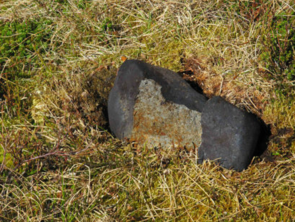 Valle-meteoritten slik den låg i terrenget då Terje Fjeldheim fann den. Finnaren donerte meteoritten til NHM. ( Foto: Terje Fjeldheim)