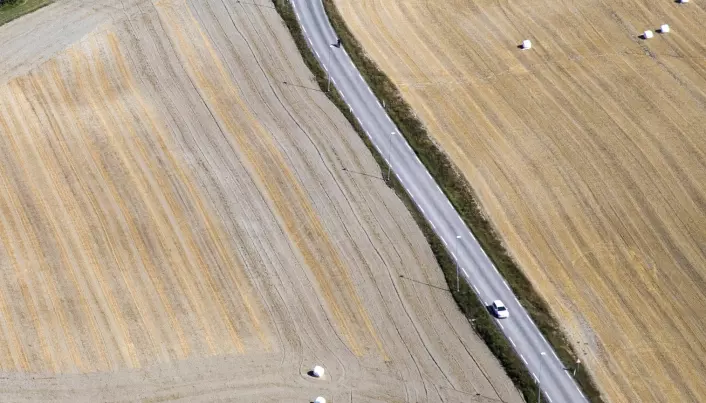 Telemark 2018.Tørken førte til dårlige avlinger for svært mange bønder (Foto: Berit Roald / NTB scanpix)