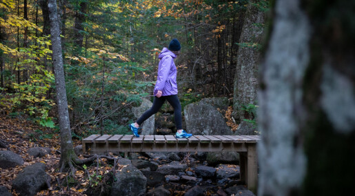 Eksperter anbefaler tur i skogen for å forebygge vinterdepresjon