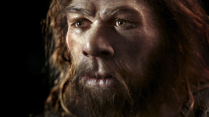 Neandertalerne er blant våre aller nærmeste slektninger blant utdødde fortidsmennesker. (Foto: Science Photo Library, NTB Scanpix) Neandertalerne er blant våre aller nærmeste slektninger blant utdødde fortidsmennesker. (Foto: Science Photo Library, NTB Scanpix)