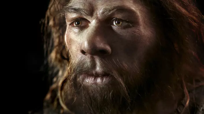 Neandertalerne er blant våre aller nærmeste slektninger blant utdødde fortidsmennesker. (Foto: Science Photo Library, NTB Scanpix)