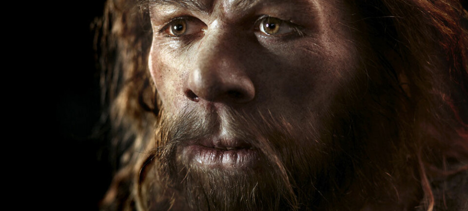 Neandertalerne er blant våre aller nærmeste slektninger blant utdødde fortidsmennesker. Science Photo Library, NTB Scanpix