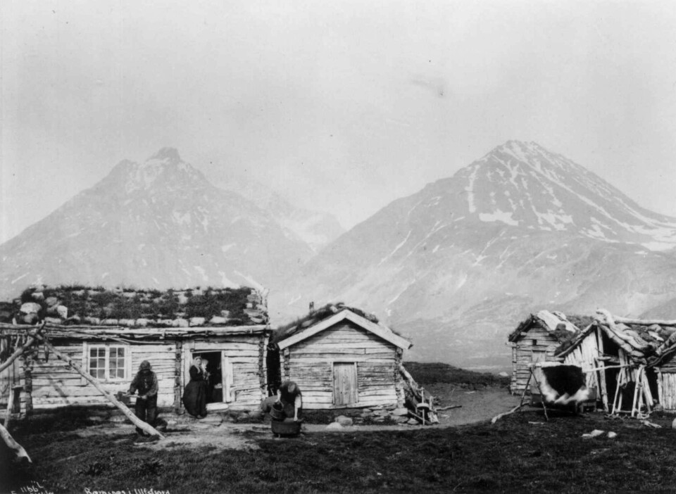 Folk i arbeid ved et lite gårdsbruk på Bensnes ved Ullsfjord i 1889. Dette er samme fjord som Selnes ligger ved, bare lenger sør. (Foto: Axel Lindahl /Norsk Folkemuseum (public domain))