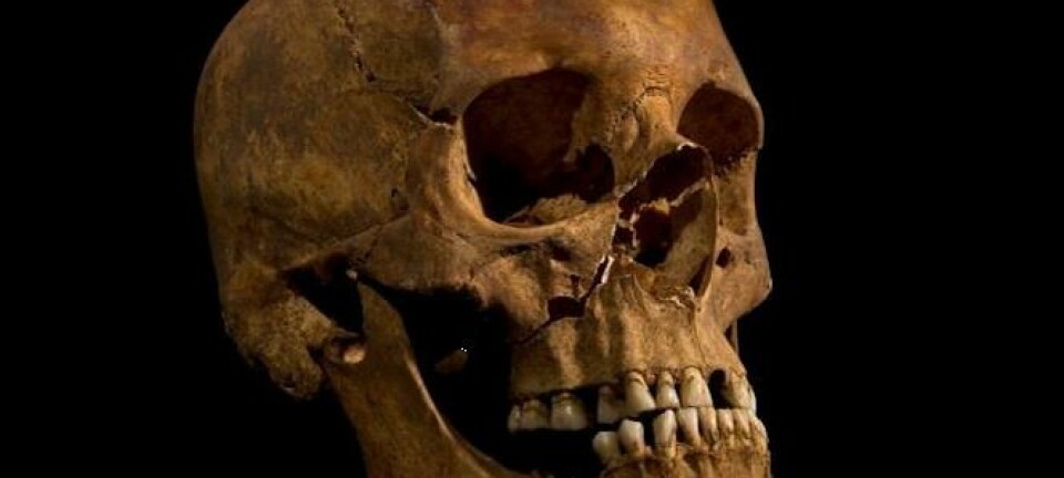 Skallen til Richard III ble funnet sammen med resten av skjelettet, i en slumsete grav under en parkeringsplass.  (Foto: University of Leicester)