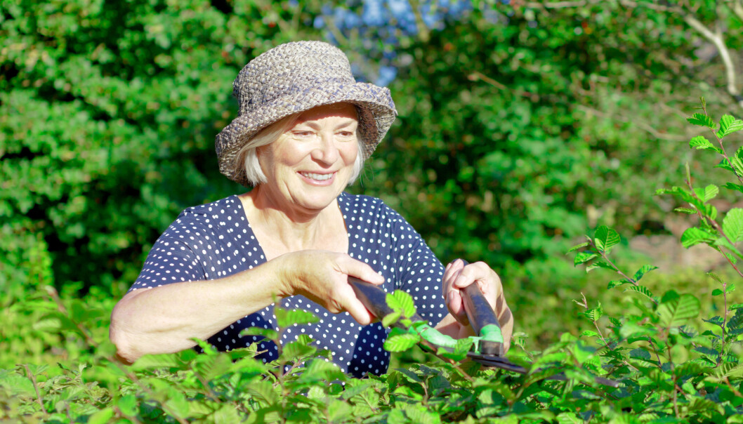 (Illustrasjonsfoto: Shutterstock / NTB scanpix) (Illustrasjonsfoto: Shutterstock / NTB scanpix)