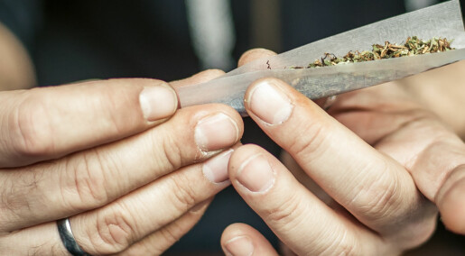 Cannabisbrukere hadde femdoblet risiko for å få medisiner mot psykose