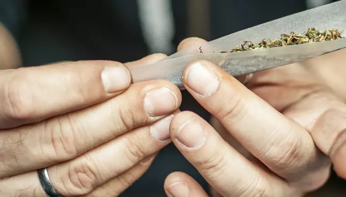 Cannabisbrukere hadde femdoblet risiko for å få medisiner mot psykose