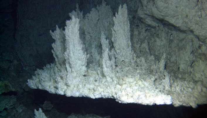 Lost City er et system med hydrotermiske skorsteiner i Atlanterhavet som har et spesielt miljø. (Bilde: University of Washington/Woods Hole Oceanographic Institution) Lost City er et system med hydrotermiske skorsteiner i Atlanterhavet som har et spesielt miljø. (Bilde: University of Washington/Woods Hole Oceanographic Institution)