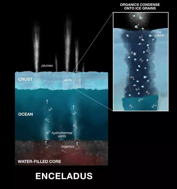 Illustrasjonen viser hvordan forskere ser for seg at de organiske komponentene har havnet i iskorn som skytes ut fra Enceladus sin overflate. (Illustrasjon: NASA/JPL-Caltech).
