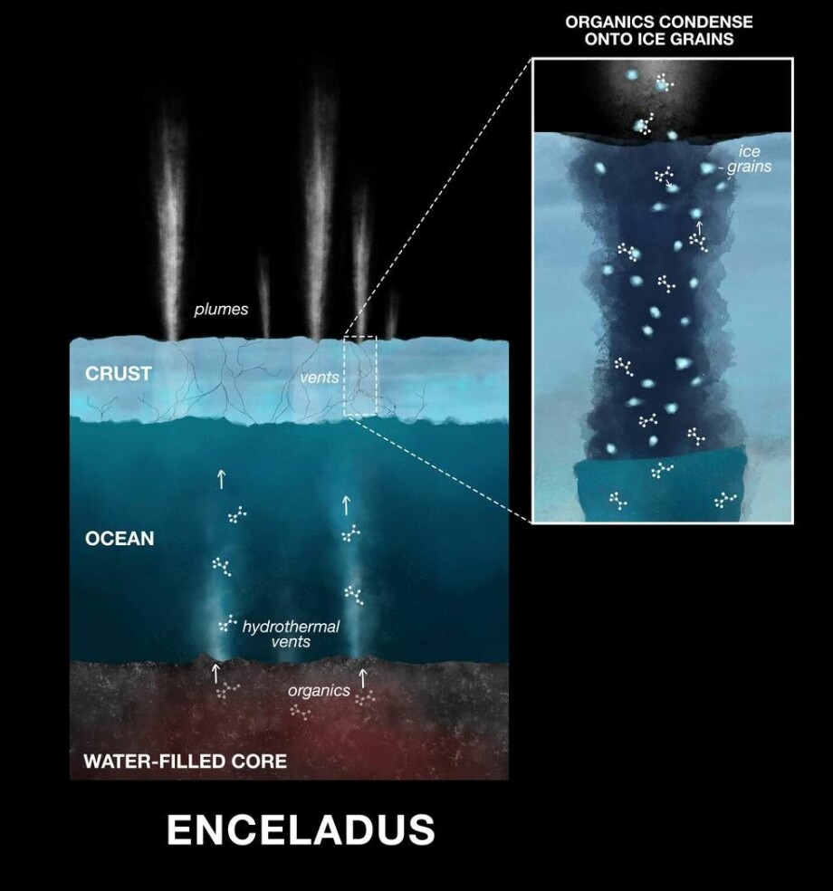 Illustrasjonen viser hvordan forskere ser for seg at de organiske komponentene har havnet i iskorn som skytes ut fra Enceladus sin overflate. (Illustrasjon: NASA/JPL-Caltech).