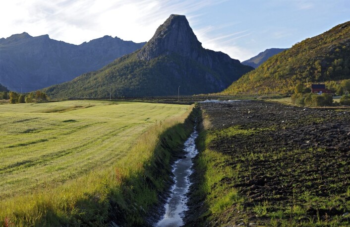 Dreneringsgrøft i Bø kommune i Vesterålen. (Foto: Bjørn Jørgensen/Scanpix) Dreneringsgrøft i Bø kommune i Vesterålen. (Foto: Bjørn Jørgensen/Scanpix)