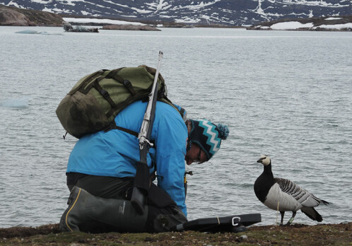 Conflicting consequences of climate change for Arctic geese