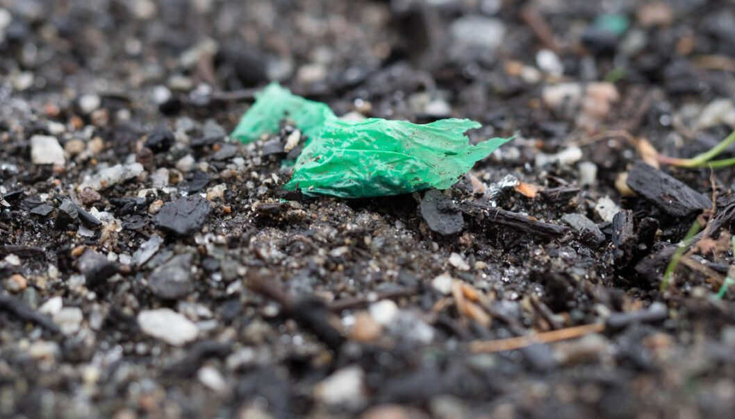 Mikroplast som havner i jorda, kan hope seg opp og renne ut i bekker og videre til havs. (Foto: Erik Joner) Mikroplast som havner i jorda, kan hope seg opp og renne ut i bekker og videre til havs. (Foto: Erik Joner)