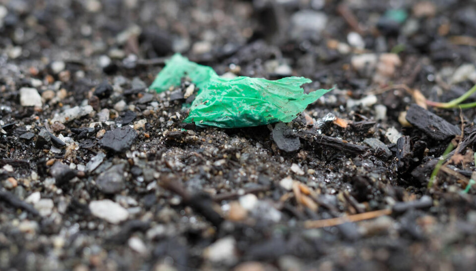 Mikroplast som havner i jorda, kan hope seg opp og renne ut i bekker og videre til havs. (Foto: Erik Joner)