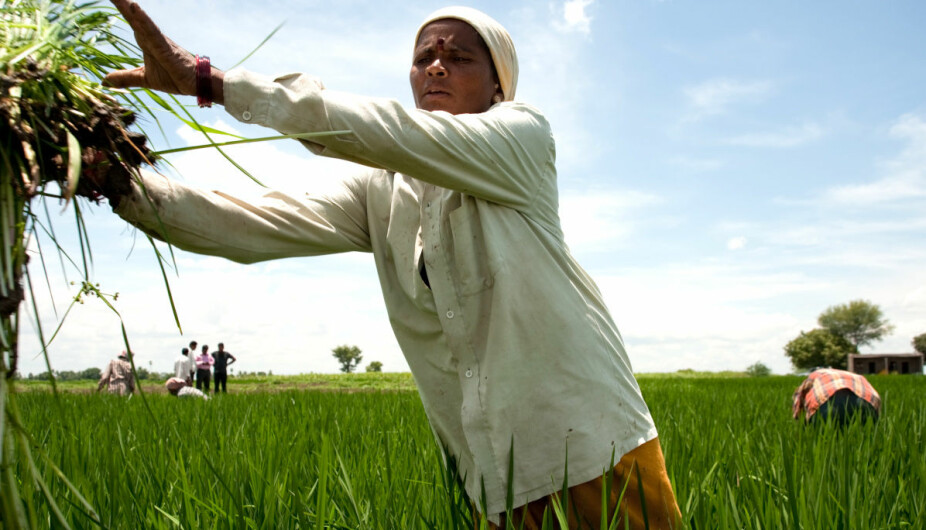 Kvinnelige småbrukere som blir utstyrt med tilsvarende kunnskap og støttesystemer som menn, kan bidra til økt bærekraft i landbruket, større avkastning og bedre mat- og matvaresikkerhet. (Foto: Ragnar Våga Pedersen)